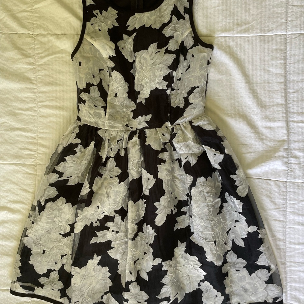 Sugarlips Black and White Sleeveless A-Line Dress